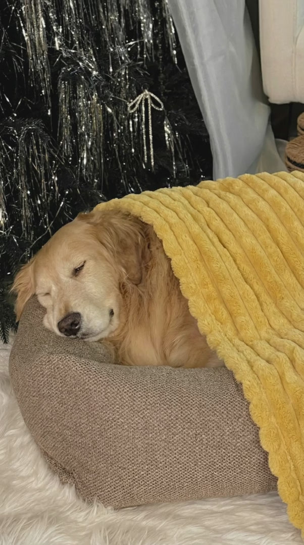 Serenity Blanket™ – Die beruhigende Kuscheldecke für Hunde