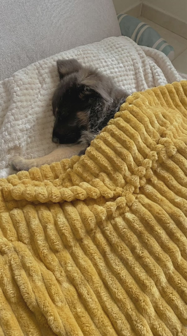 Serenity Blanket™ – Die beruhigende Kuscheldecke für Hunde