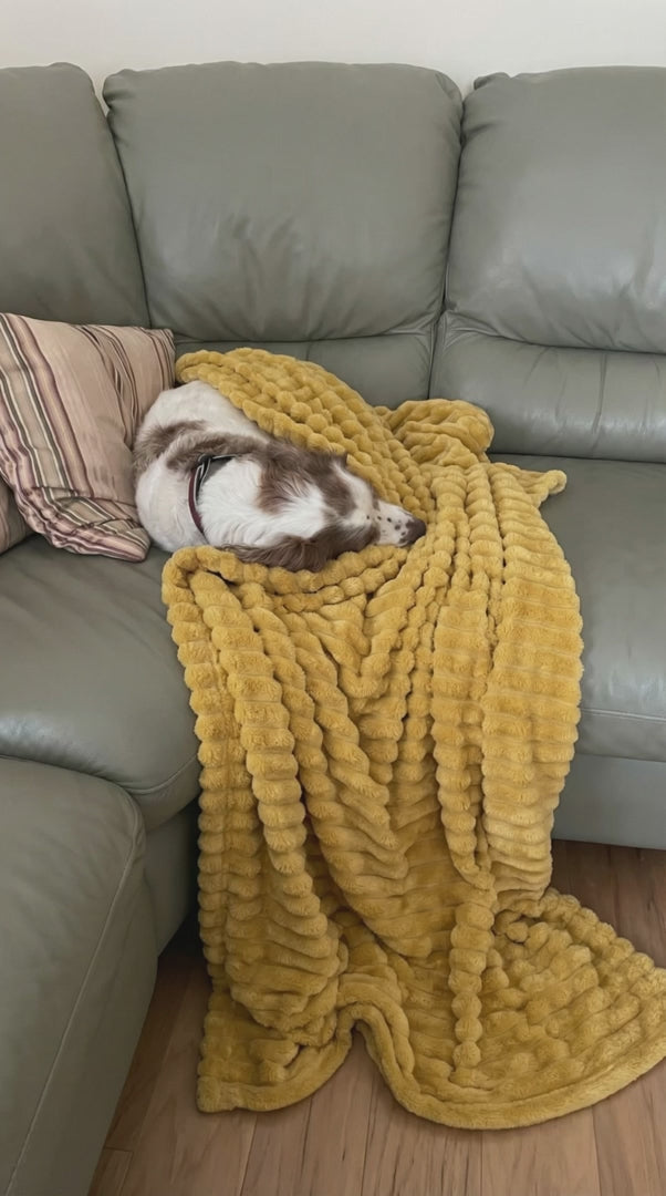 Serenity Blanket™ – Die beruhigende Kuscheldecke für Hunde